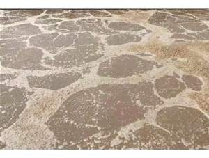 廢水處理中常用的氧化劑和還原劑有哪些？